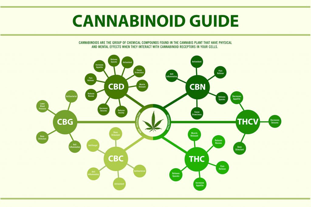 CBDって何？】今話題のCBD！効果効能、選び方や使い方などをご紹介 ｜ もりくみこ（くみんちゅ）公式サイト〜こだわるけどとらわれない〜